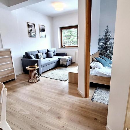 Why Not Apartament Przy Skoczni Zakopane Dış mekan fotoğraf